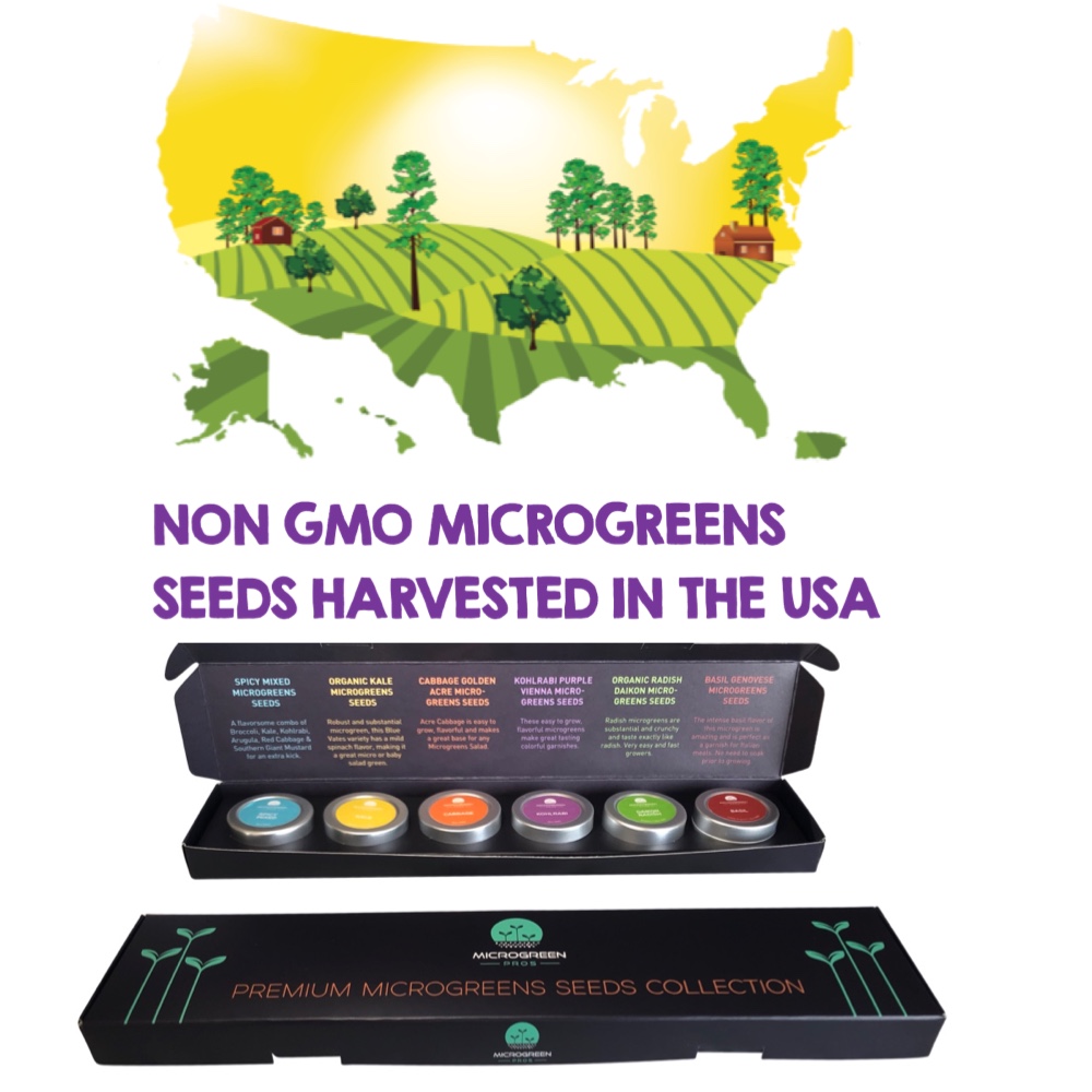 Basil-Microgreen-seeds
