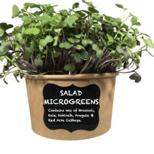 Easy Microgreen Organic Kit (3 Pack Mixed Seeds) - Just Add Water & Grow Your own Nutrition in 10 Days.