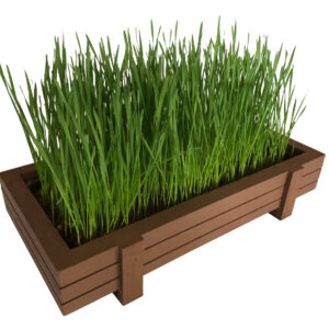 Certified Organic Wheatgrass Kit with Beautiful Wooden Countertop Planter